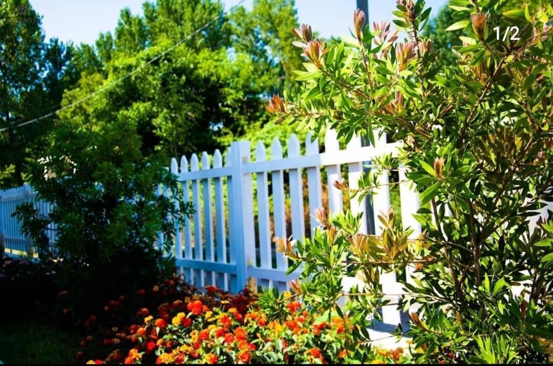 Apartments Alavana Velipojë Екстериор снимка
